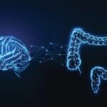 Tu intuición puede asistir a tu cerebro para determinar qué recordar