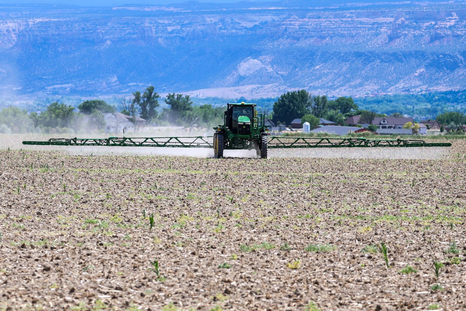 Tractor pulverizando herbicida en campos de arroz.