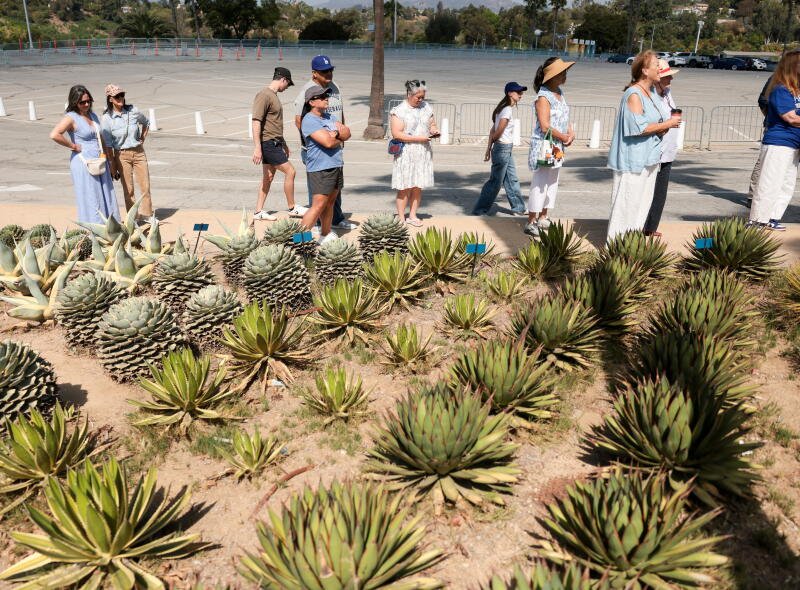 Un grupo visita la Isla Agave durante un recorrido por el Jardín Botánico del Dodger Stadium.