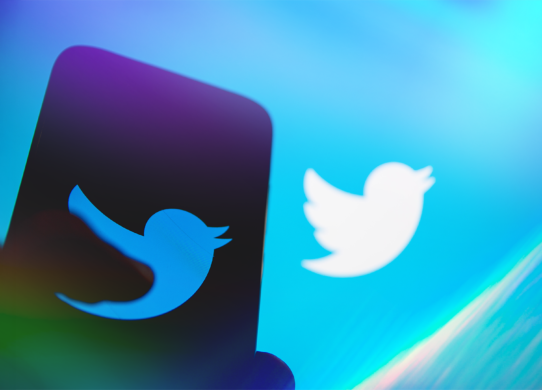 Juez permite a Musk conservar Twitter por ahora, pero le obliga a liberar al pájaro