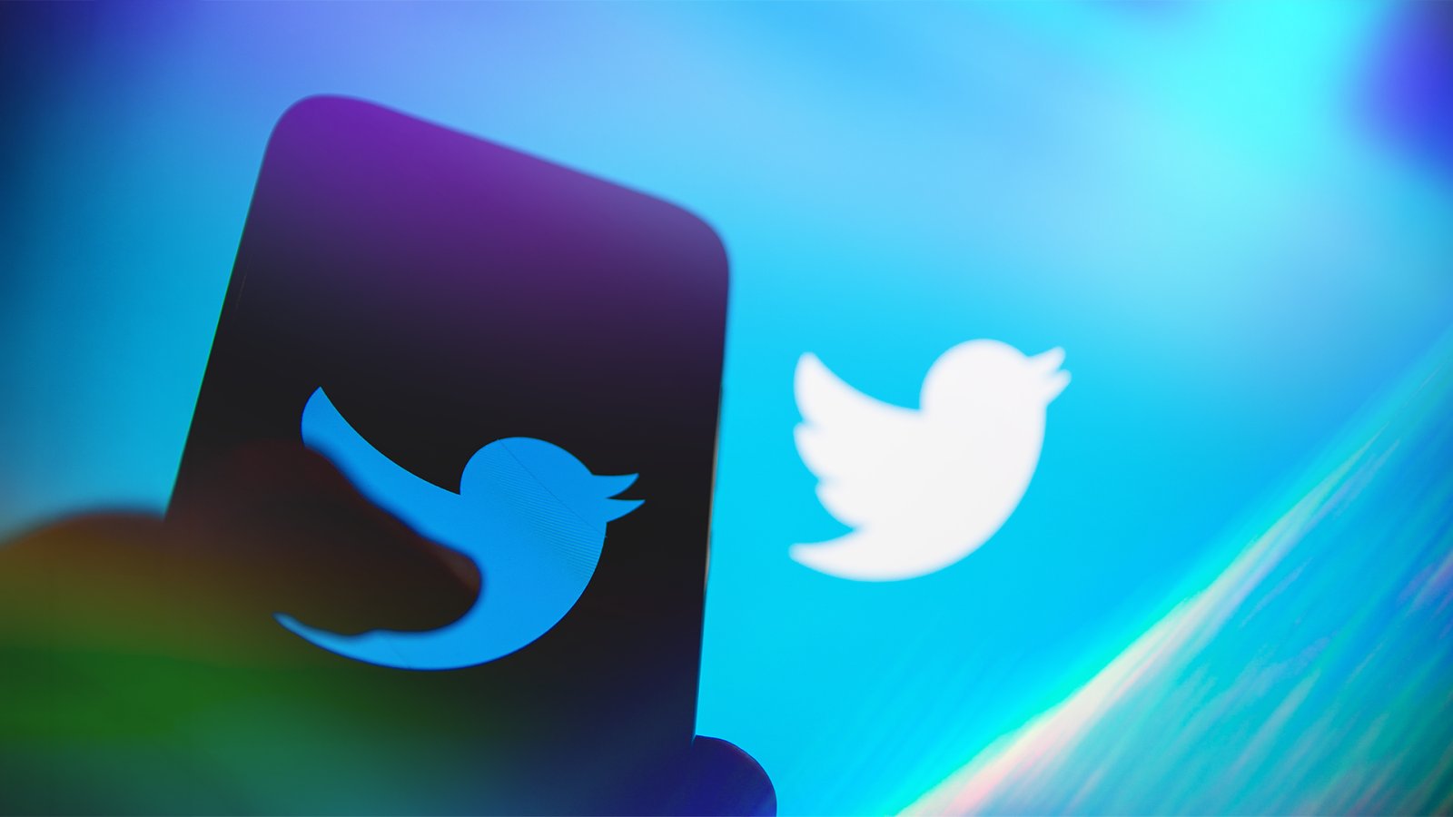 Juez permite a Musk conservar Twitter por ahora, pero le obliga a liberar al pájaro