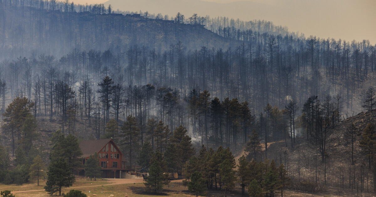 ¿Por qué los madereros y (algunos) ambientalistas apoyan la Ley Fix Our Forests?