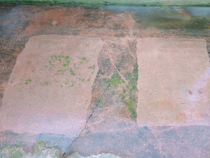 Vista de lado a lado de dos secciones de pavimento de concreto después de la limpieza con dos lavadoras a presión diferentes. El lado limpiado con AR Blue Clean mostró más musgo que el lado limpiado con el modelo LawnMaster.