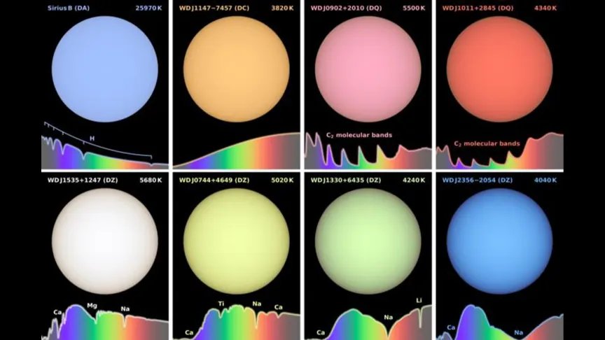 Una serie de ocho estrellas enanas blancas de varios colores.