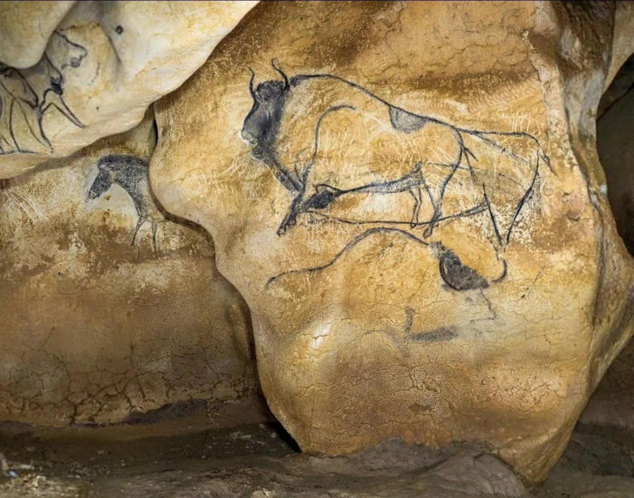 Las impresionantes pinturas rupestres de Chauvet-Pont D'Arc no son tan impresionantes en una fotografía plana.