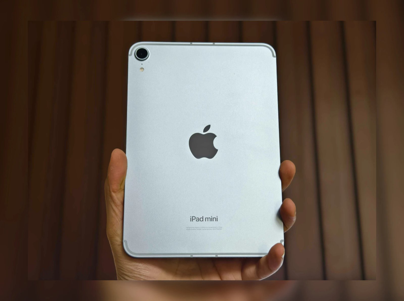 Alguien sosteniendo un iPad Mini 7.